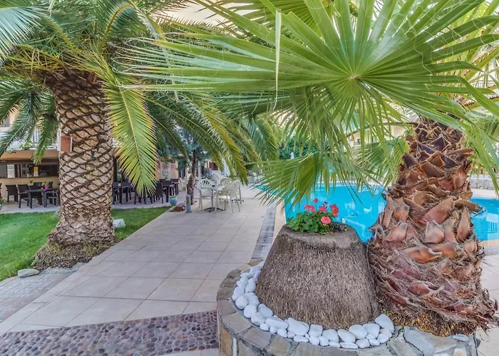 Pegasus-adult Friendly 3*