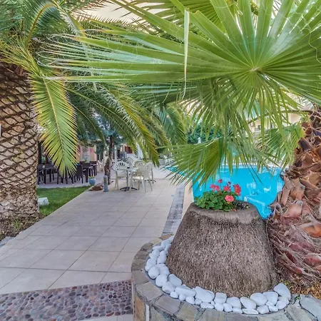 Pegasus-adult Friendly 3*